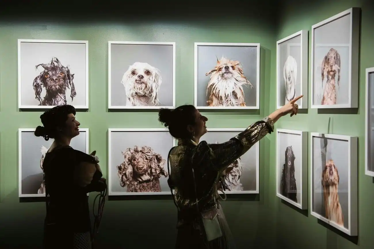 Fotografiska New York: Entry Ticket, New York, United States, NYC Pass.