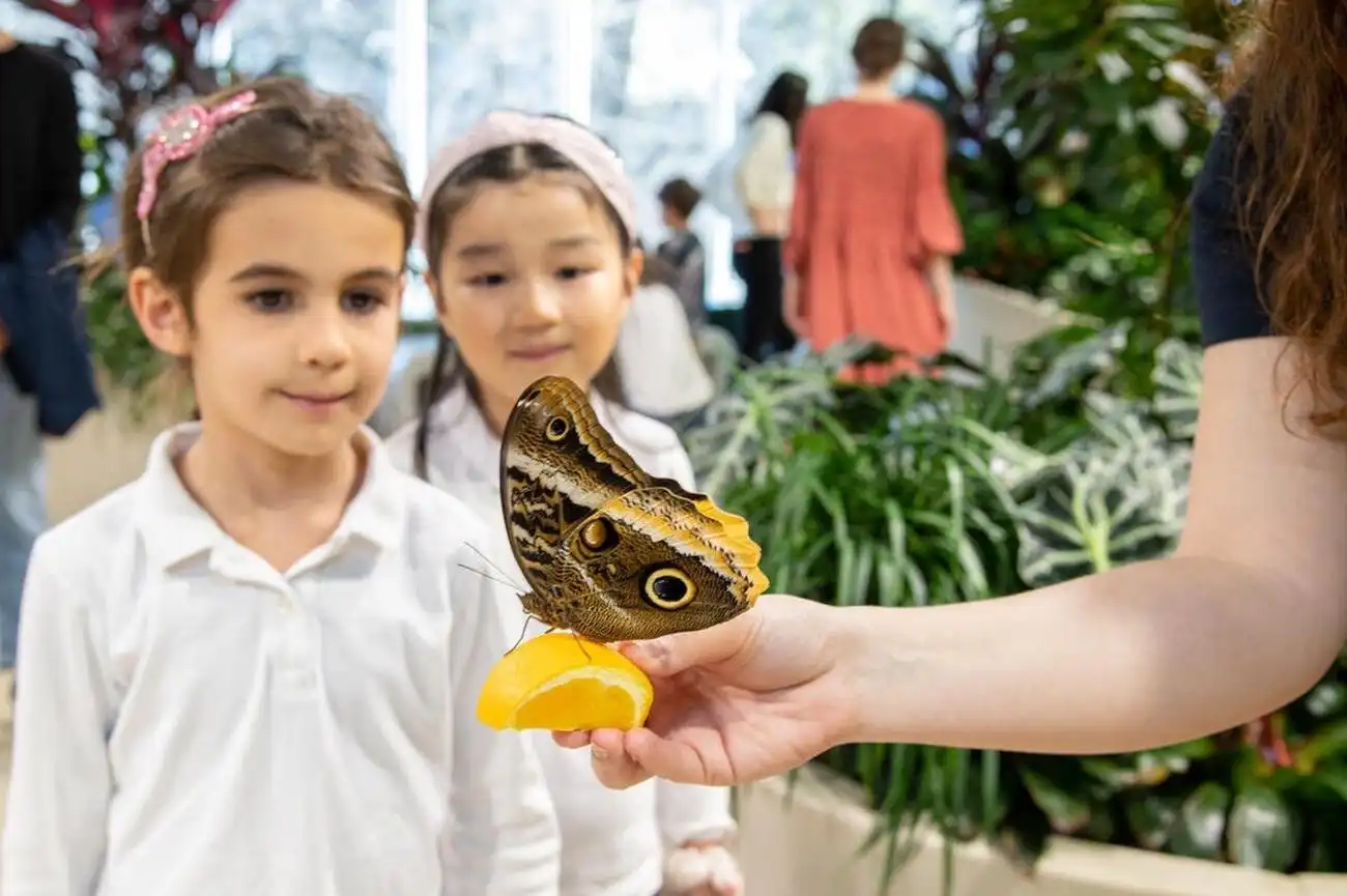 American Museum of Natural History (AMNH): Plus One Ticket, New York, United States, NYC Pass.