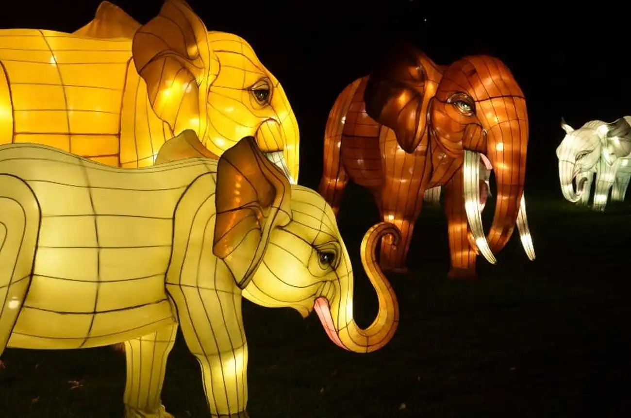 Bronx Zoo: Holiday Lights Tickets, New York, United States, NYC Pass.