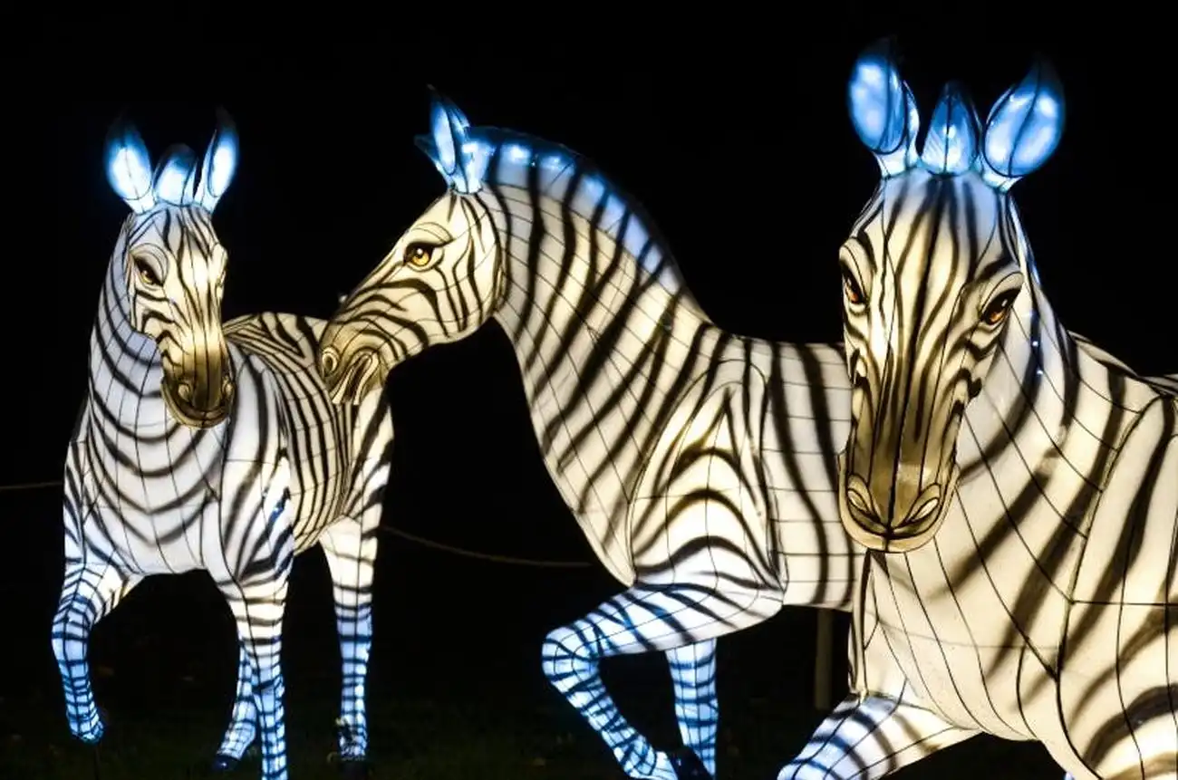 Bronx Zoo: Holiday Lights Tickets, New York, United States, NYC Pass.