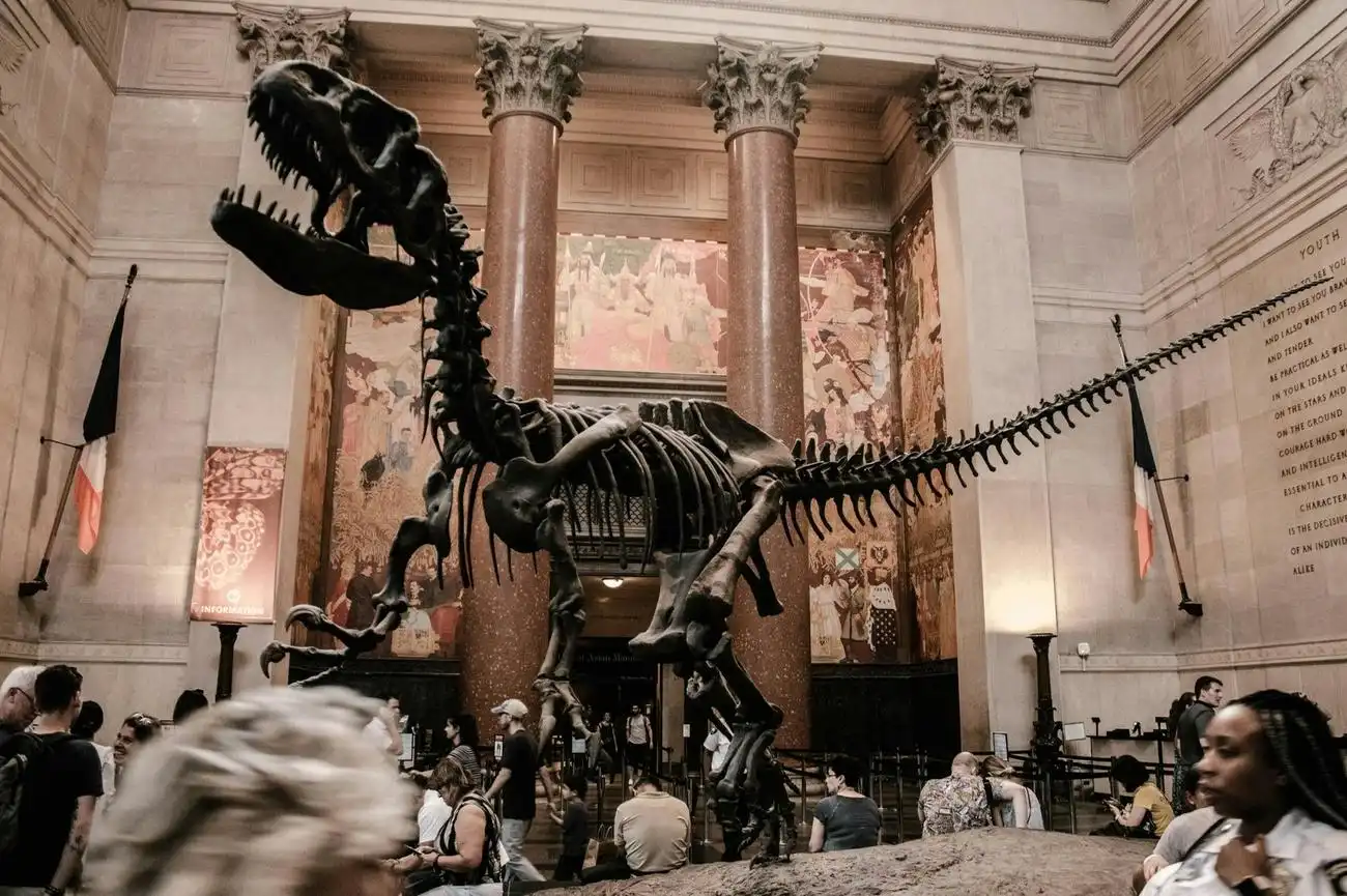 American Museum of Natural History (AMNH): Plus One Ticket, New York, United States, NYC Pass.