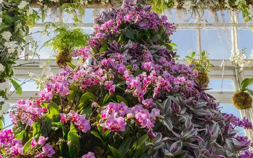 New York Botanical Garden: All Garden Pass, New York, United States, NYC Pass.