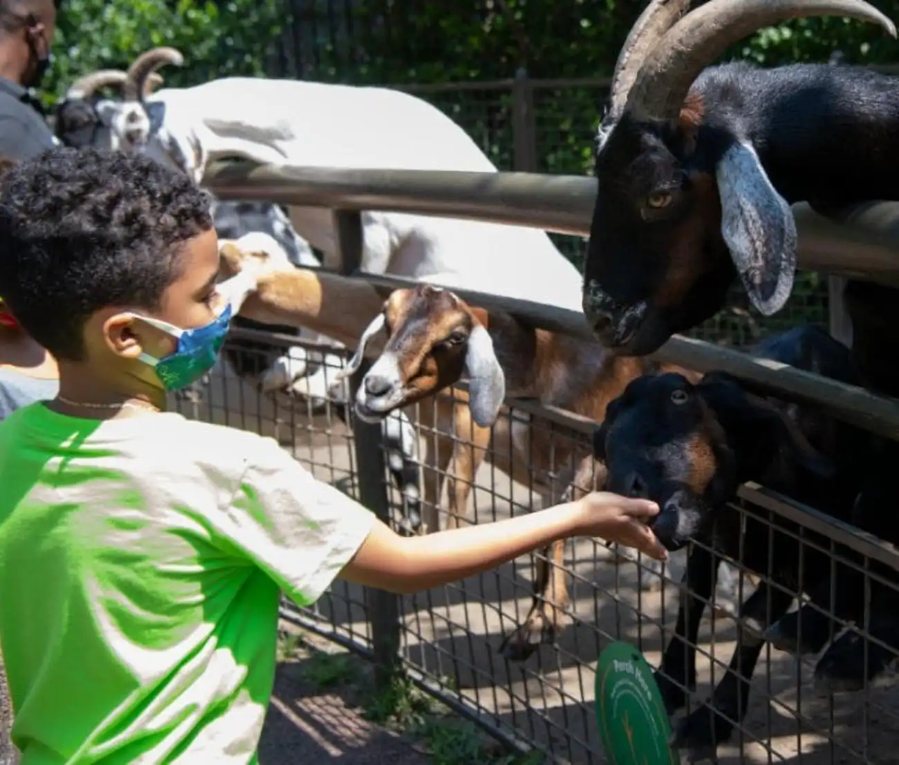 Central Park Zoo: Total Experience, New York, United States, NYC Pass.