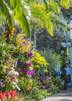 Relax and explore beautiful gardens and parks throughout NYC. Best Activities to Visit New York in 2025.