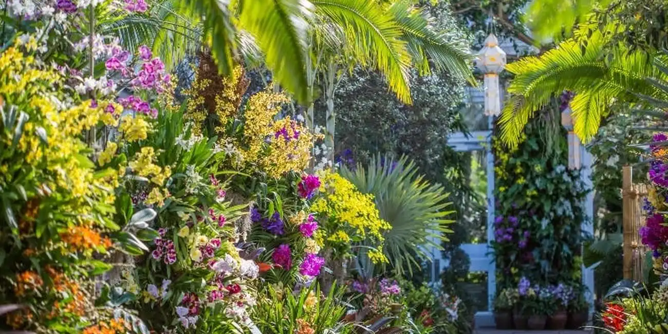 Relax and explore beautiful gardens and parks throughout NYC. Best Activities to Visit New York in 2025.