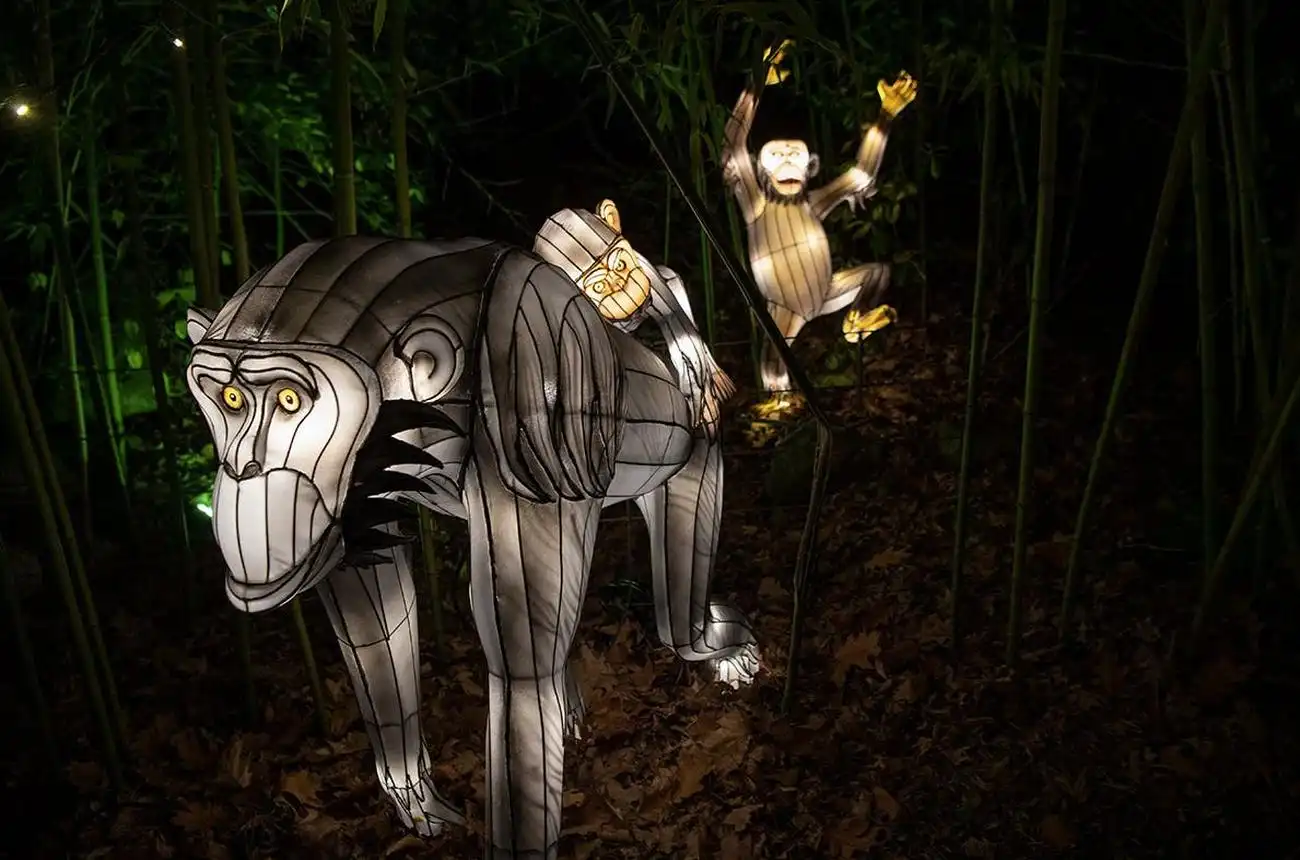 Bronx Zoo: Holiday Lights Tickets, New York, United States, NYC Pass.