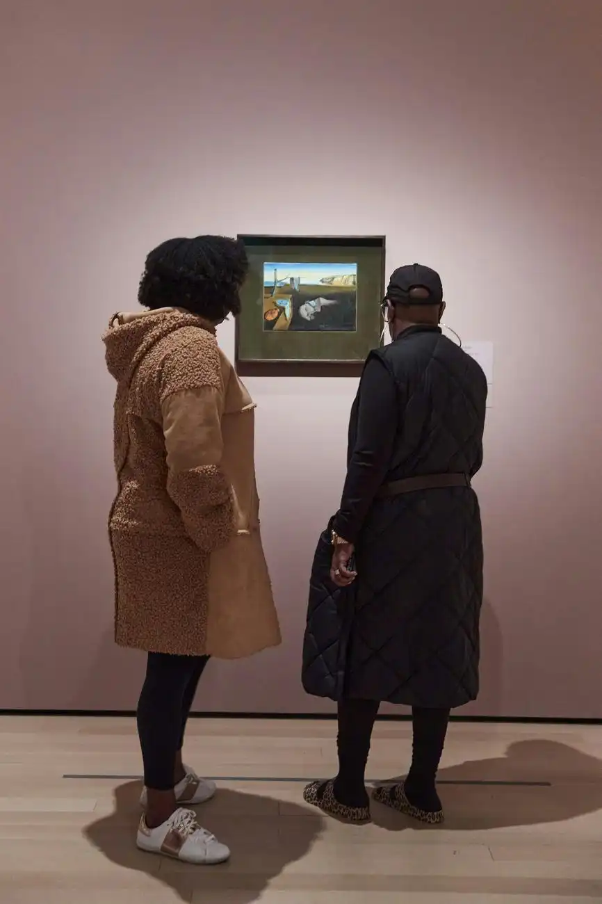 Musée d'Art Moderne (MoMA): Billet d'entrée, New York, États-Unis, NYC Pass.