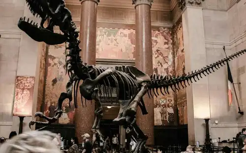 American Museum of Natural History (AMNH): Plus One Ticket, New York, United States, NYC Pass.