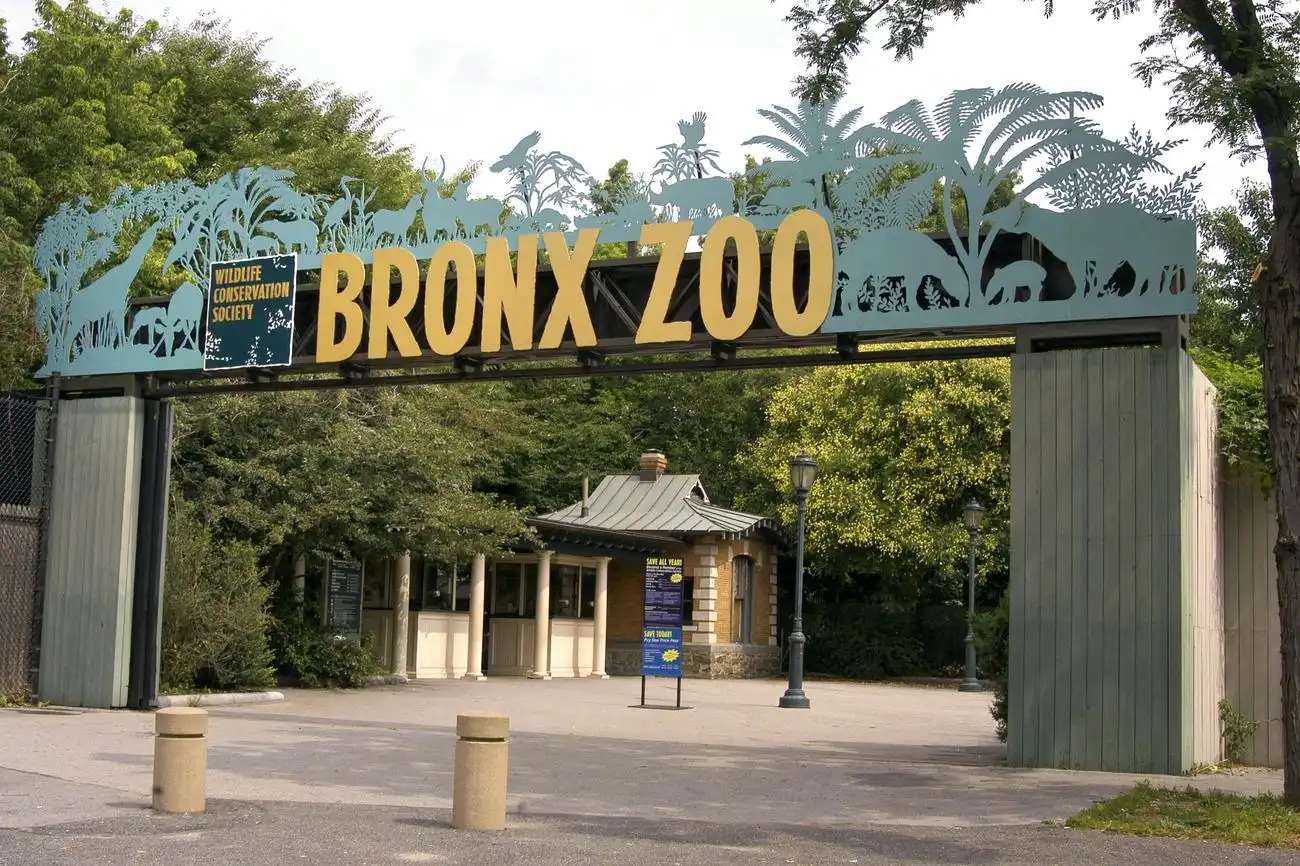 Zoológico del Bronx de Nueva York: Entrada, Nueva York, Estados Unidos, NYC Pass.