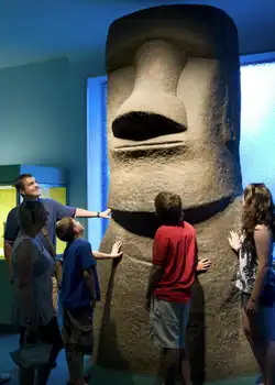 Discover NYC’s art, culture, and history at top museums and galleries. Best Activities to Visit New York in 2025.