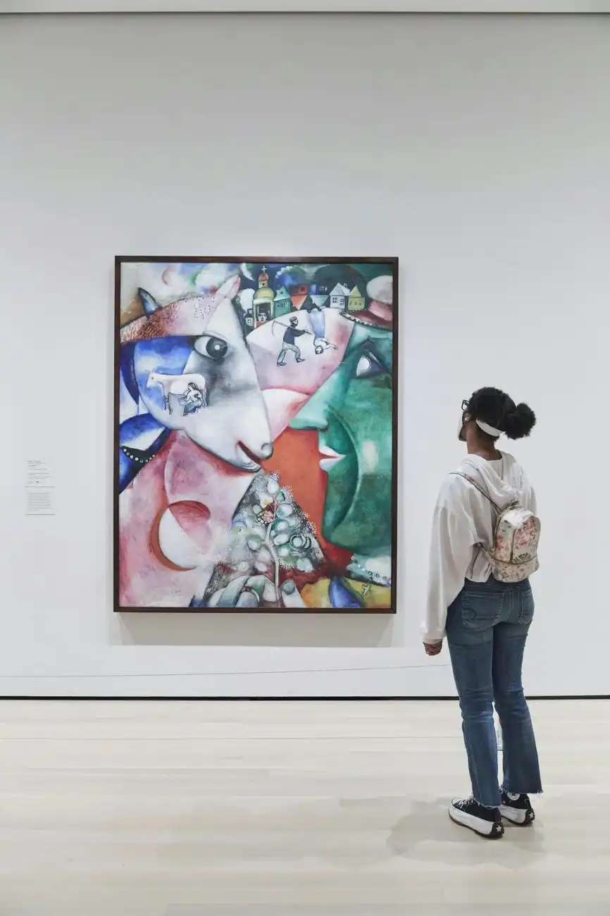 Musée d'Art Moderne (MoMA): Billet d'entrée, New York, États-Unis, NYC Pass.
