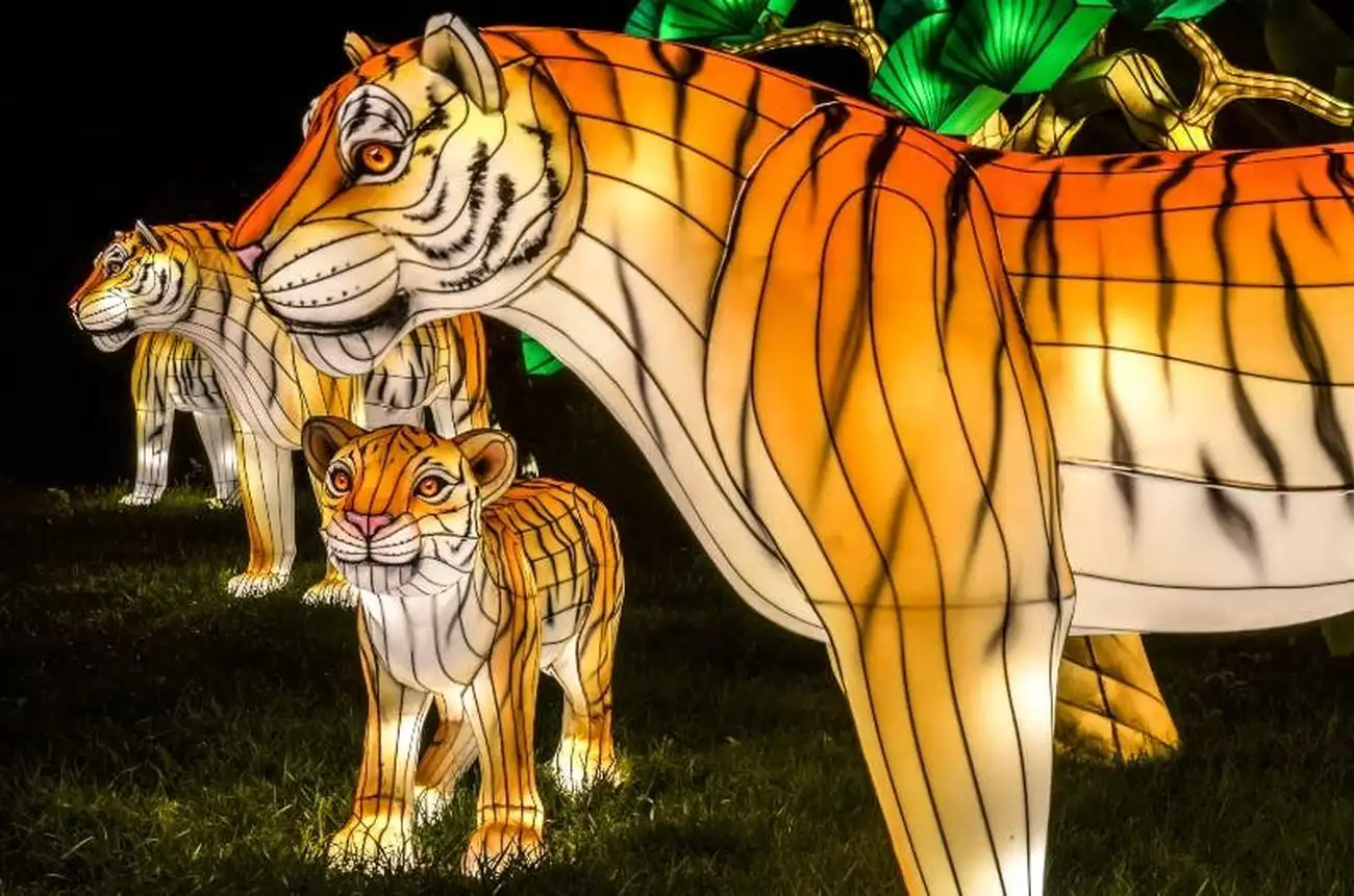 Bronx Zoo: Holiday Lights Tickets, New York, United States, NYC Pass.