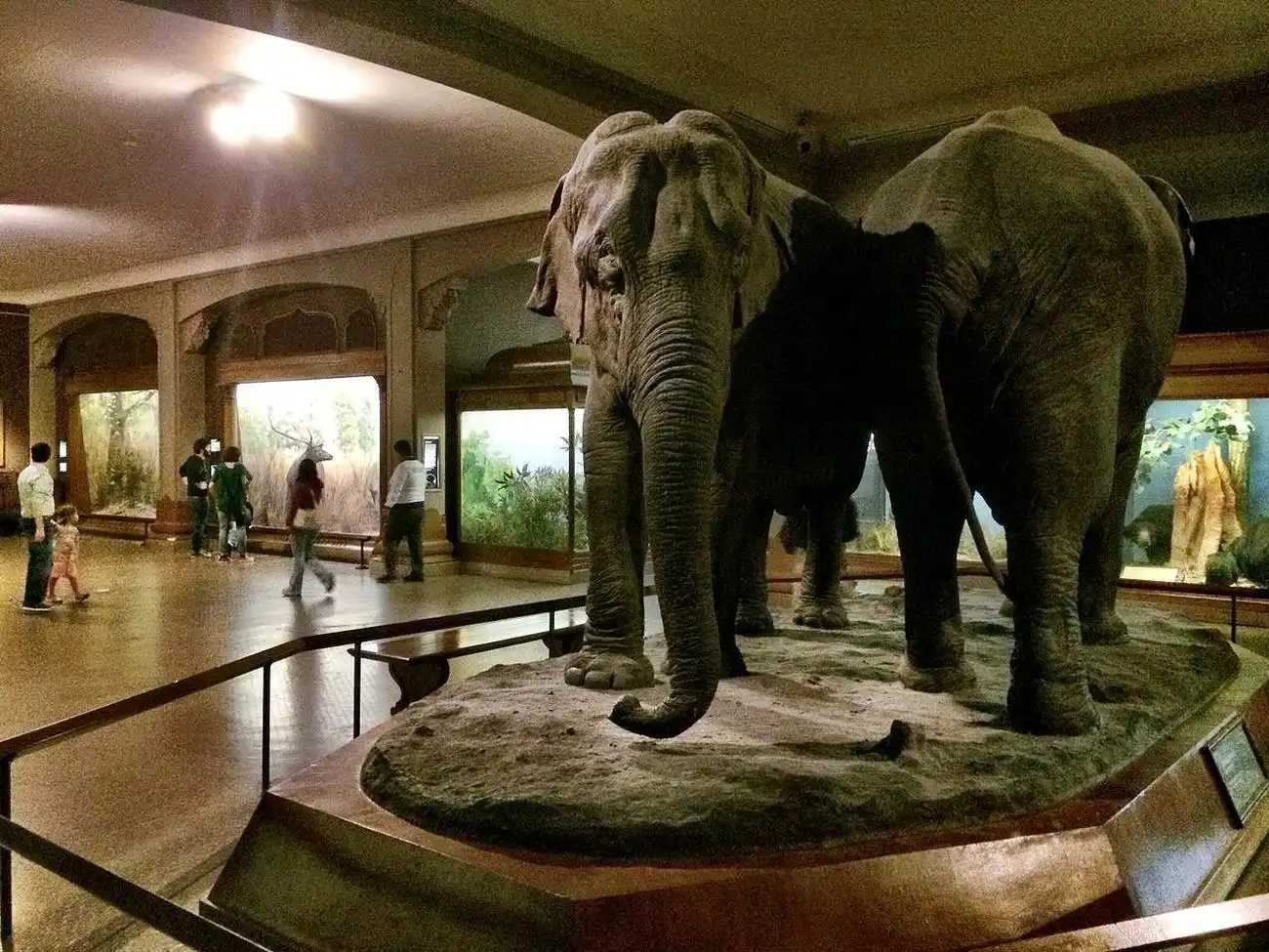 New York CityPASS®: Save 40% on Admission to 5 Top Attractions, New York, United States, NYC Pass.
