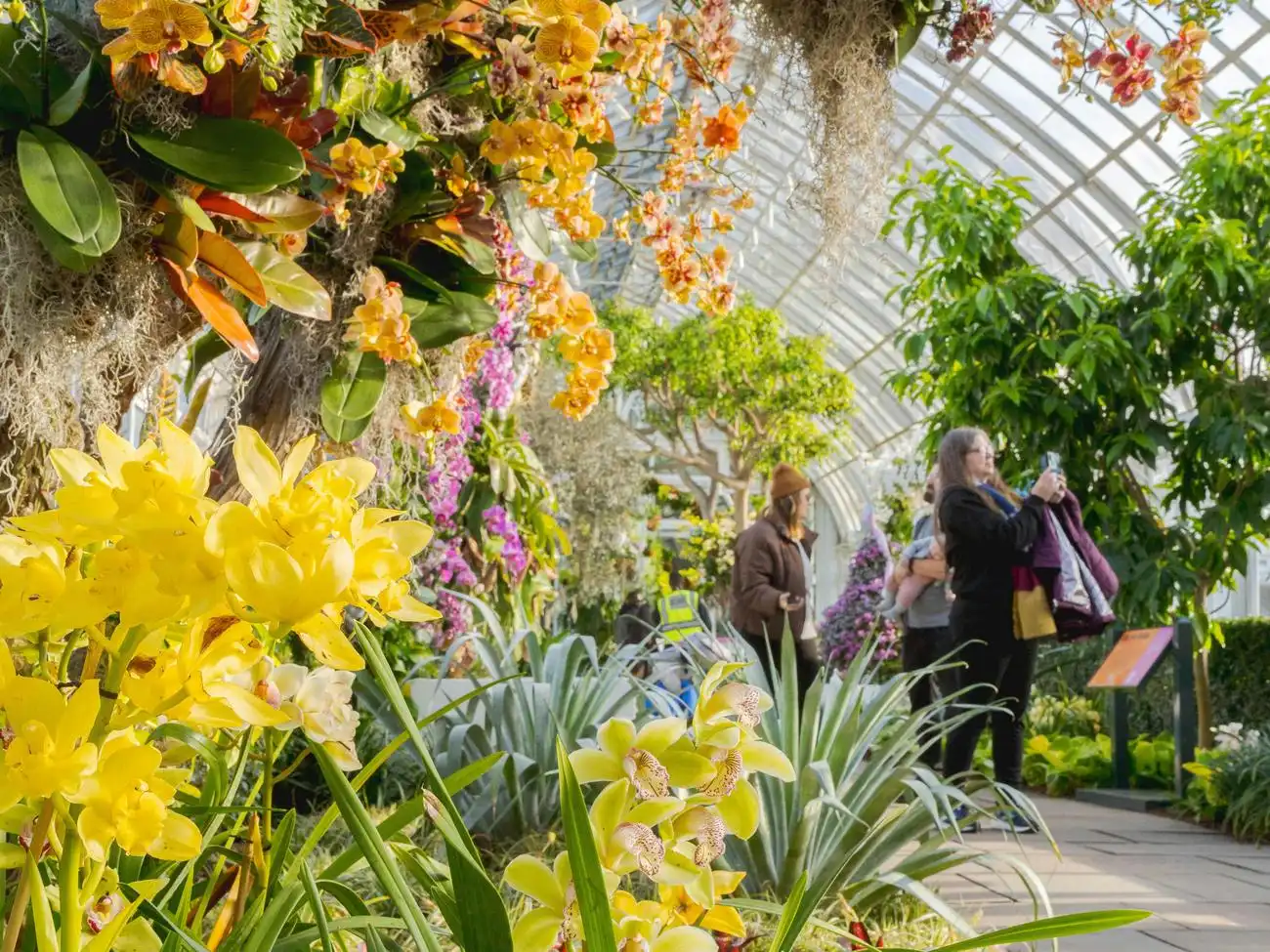 New York Botanical Garden: All Garden Pass, New York, United States, NYC Pass.
